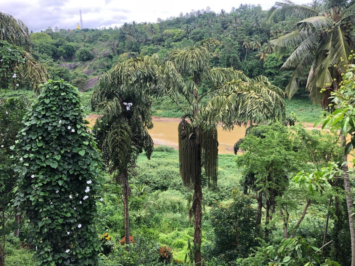 Kandy Rivers Edge Nature Resort Εξωτερικό φωτογραφία