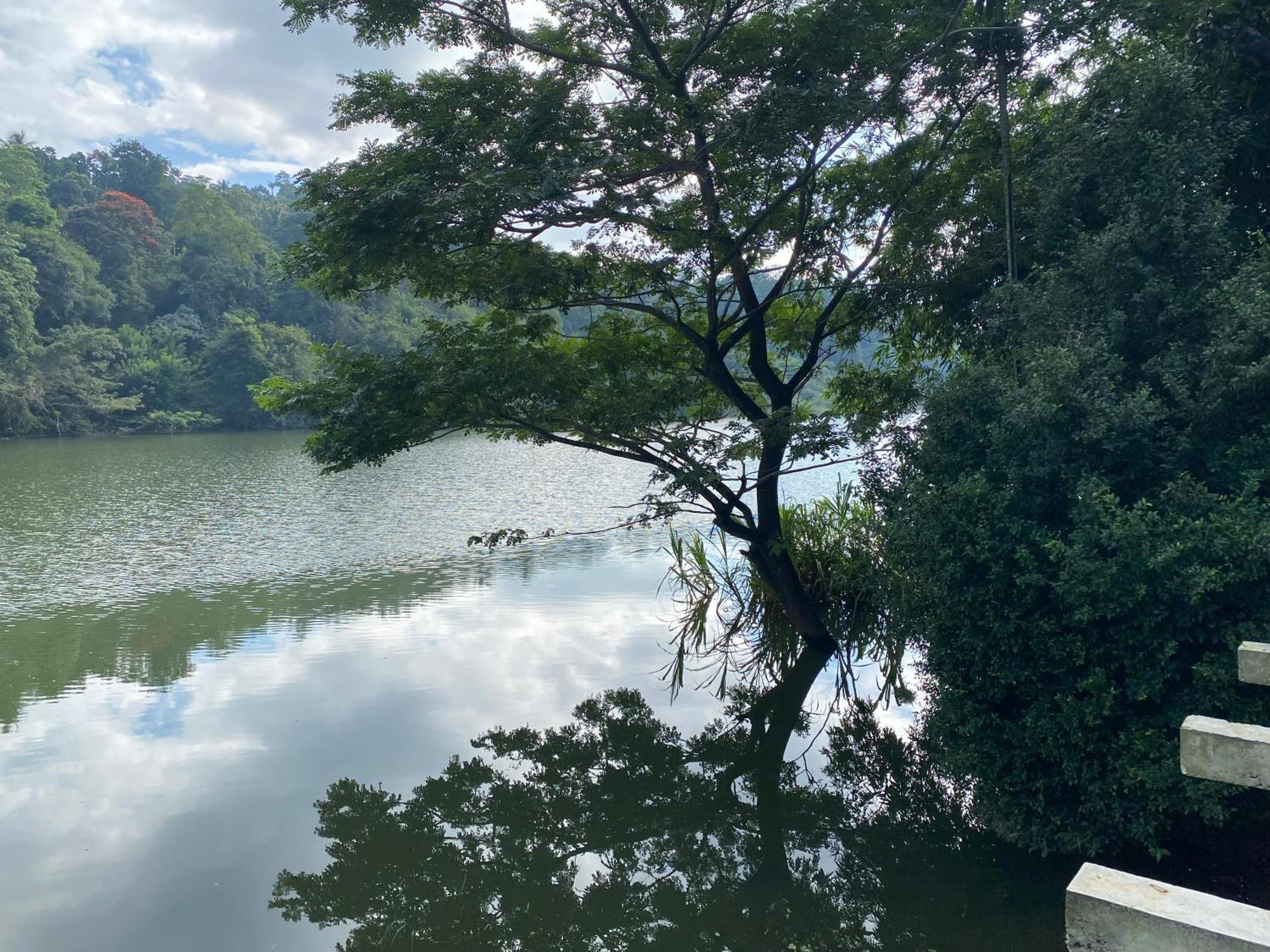Kandy Rivers Edge Nature Resort Εξωτερικό φωτογραφία