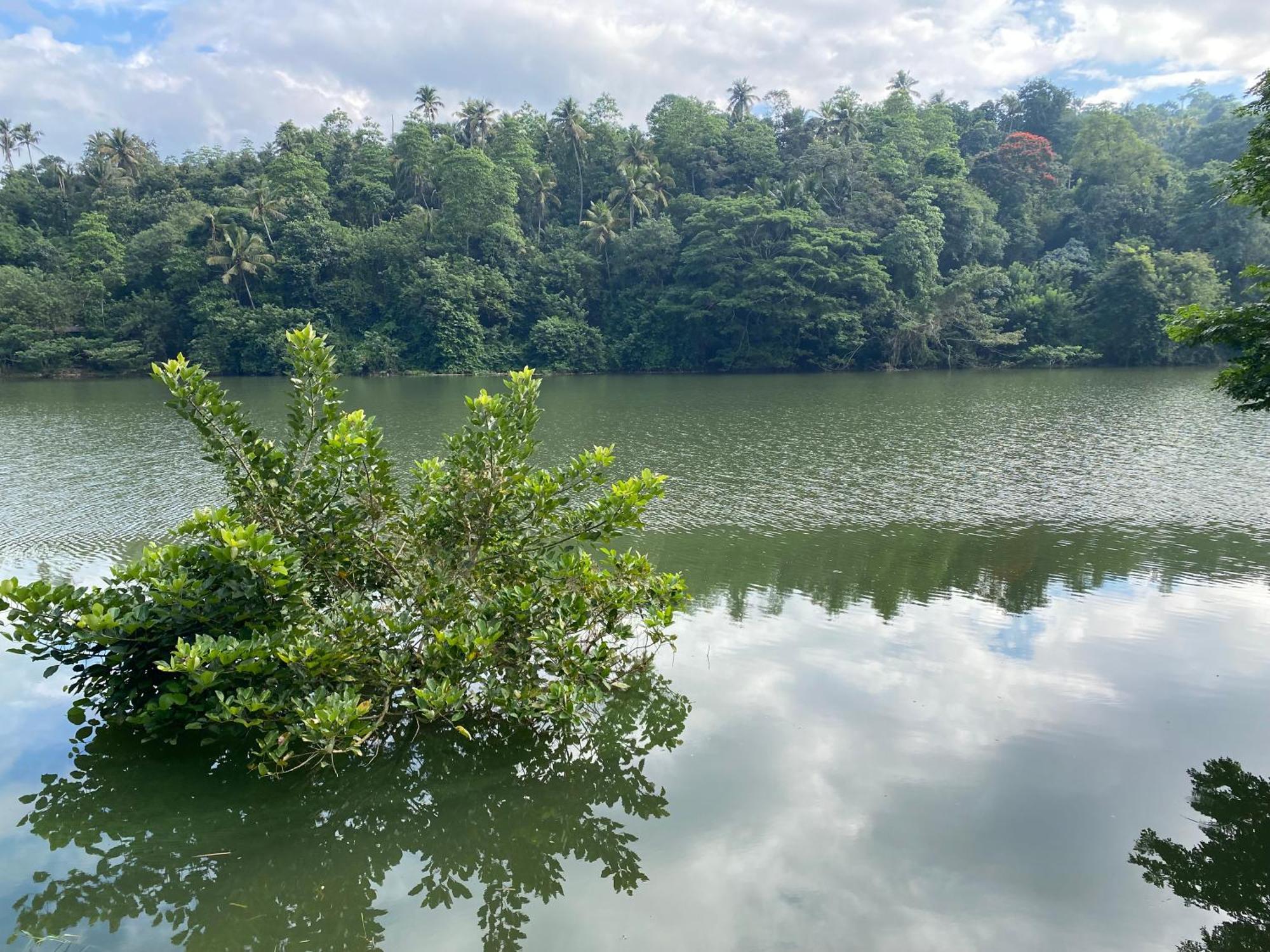 Kandy Rivers Edge Nature Resort Εξωτερικό φωτογραφία