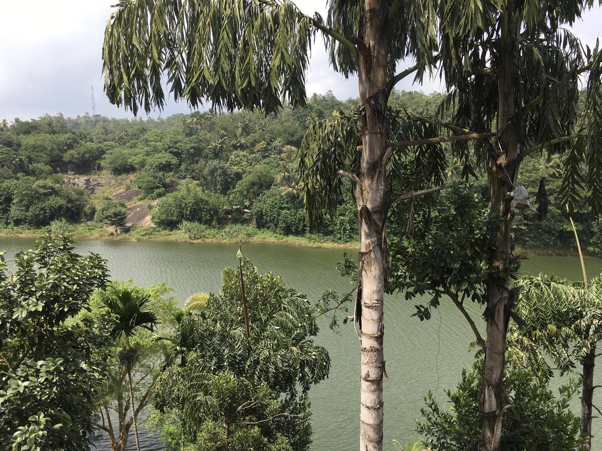 Kandy Rivers Edge Nature Resort Εξωτερικό φωτογραφία