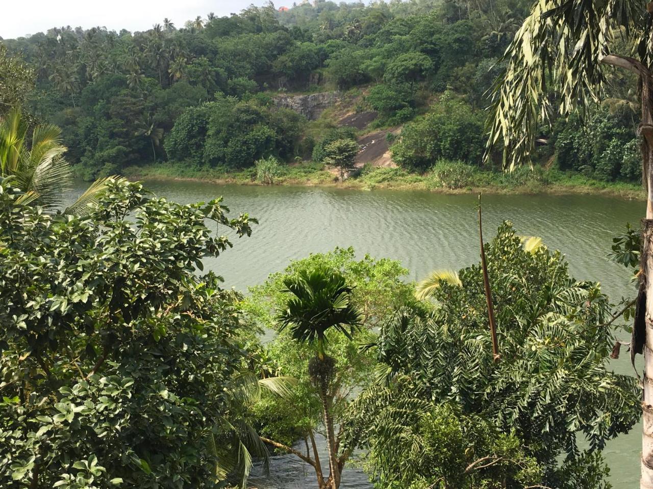 Kandy Rivers Edge Nature Resort Εξωτερικό φωτογραφία